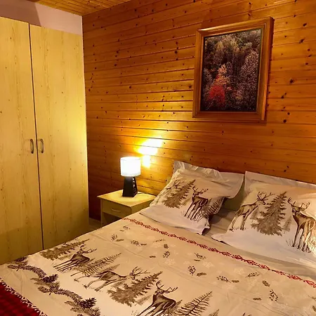 Confortable Avec Cheminee Proche De La Bresse-hohneck, Ideal Pour Famille Et Amis. - Fr-1-589-123