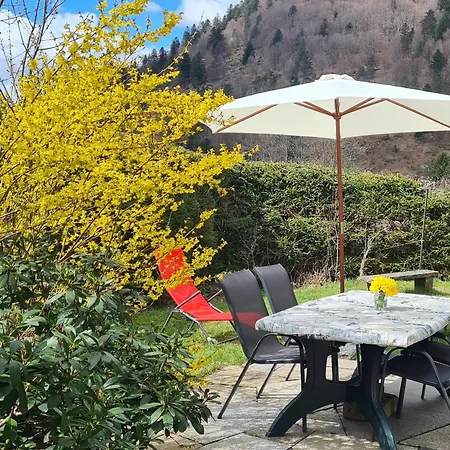 Confortable Avec Cheminee Proche De La Bresse-hohneck, Ideal Pour Famille Et Amis. - Fr-1-589-123 Semesterbostad *